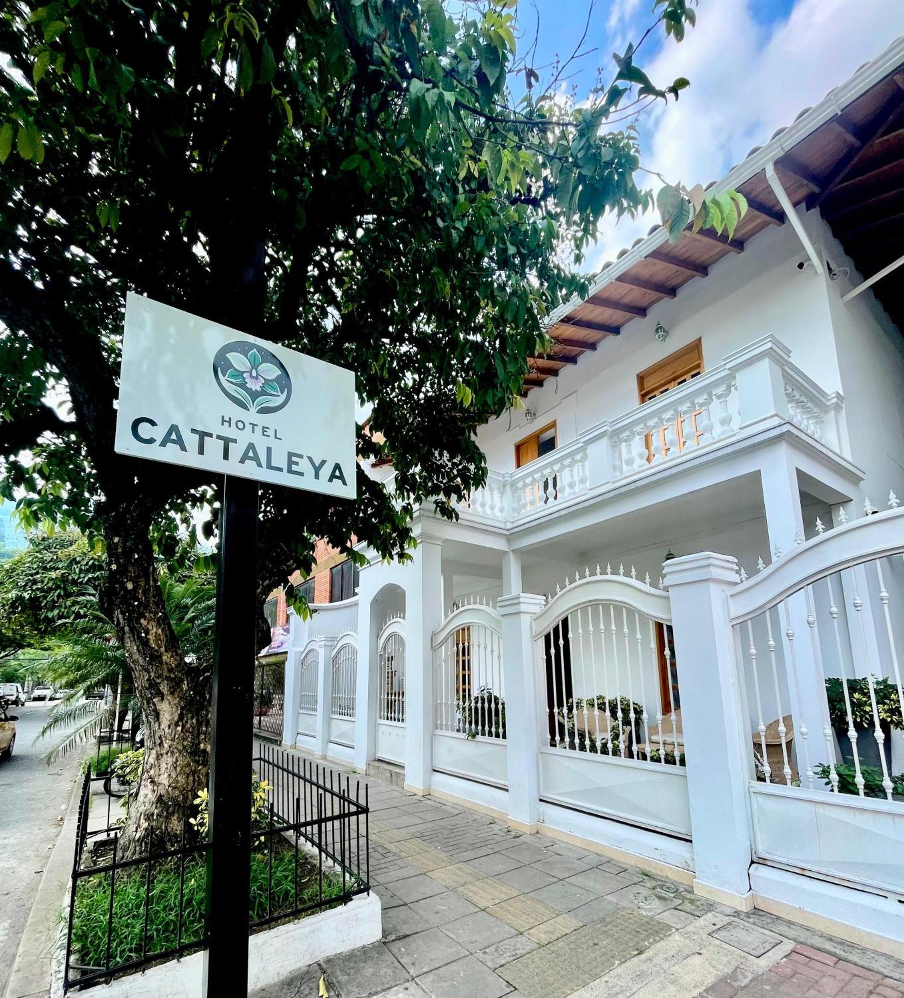 Hotel Cattaleya City Cali Kültér fotó